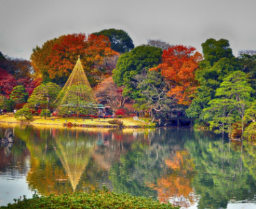 Il giardino Koishikawa Korakuen a Tokyo